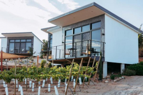 Villa Loar, Valle de Guadalupe